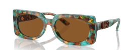 400073 - Teal Graphic Tortoise