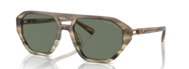 39633H - Olive Tortoise