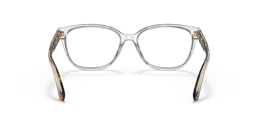 3102 - Dark Tortoise/Clear