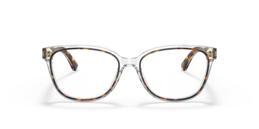 3102 - Dark Tortoise/Clear