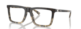 3942 - Black Gradient Tortoise