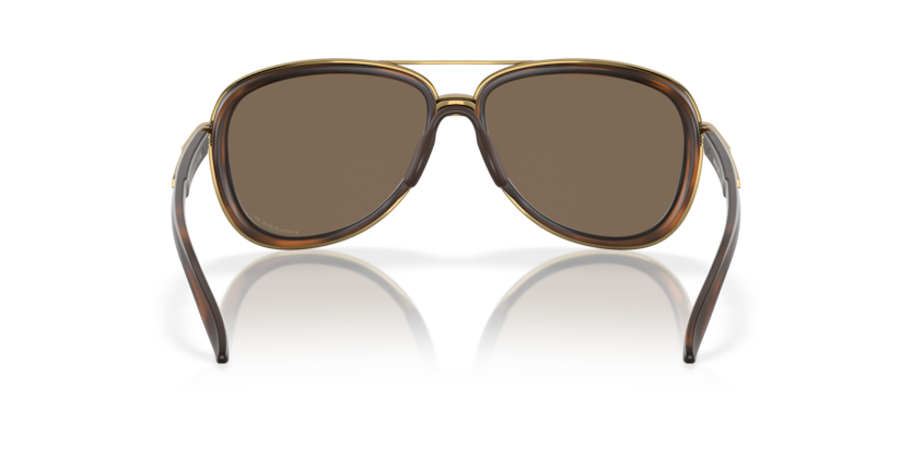 412914 - Brown Tortoise