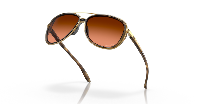 412918 - Brown Tortoise