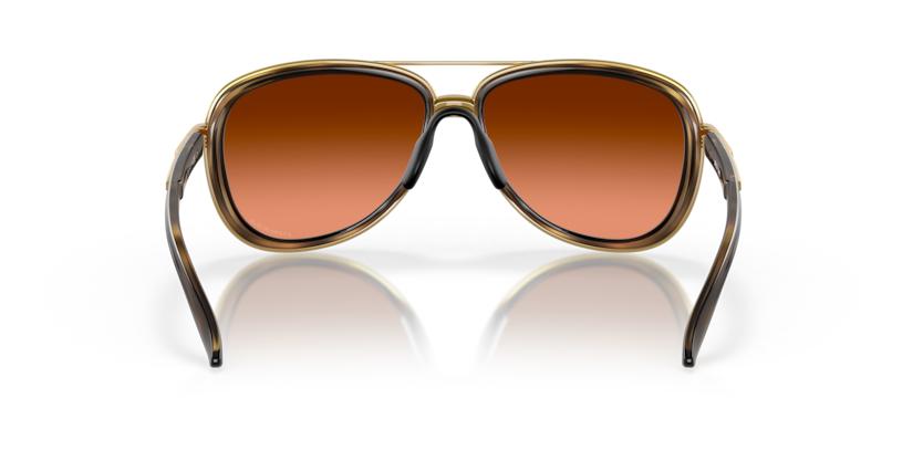 412918 - Brown Tortoise