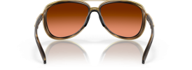 412918 - Brown Tortoise