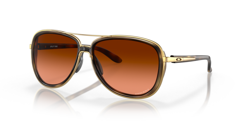 412918 - Brown Tortoise