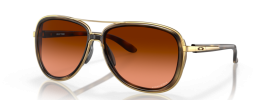 412918 - Brown Tortoise