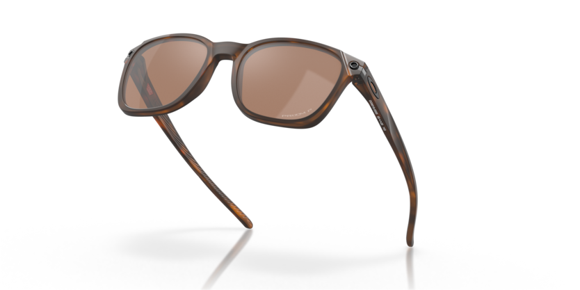 901805 - Matte Brown Tortoise