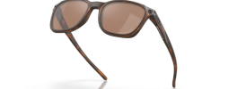 901805 - Matte Brown Tortoise