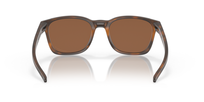 901805 - Matte Brown Tortoise