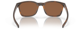 901805 - Matte Brown Tortoise