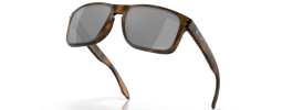 9102F4 - Matte Brown Tortoise