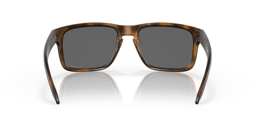 9102F4 - Matte Brown Tortoise