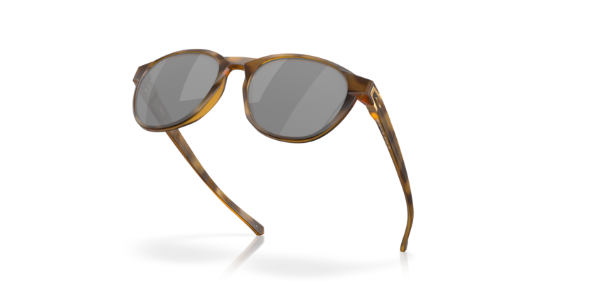 912611 - Matte Brown Tortoise