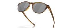 912611 - Matte Brown Tortoise