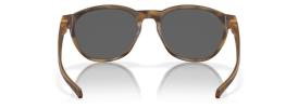 912611 - Matte Brown Tortoise