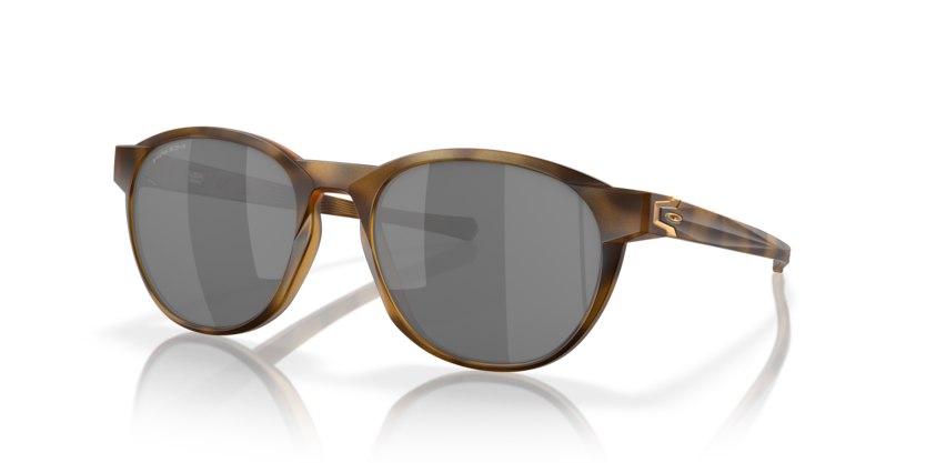 912611 - Matte Brown Tortoise