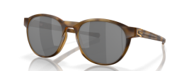 912611 - Matte Brown Tortoise