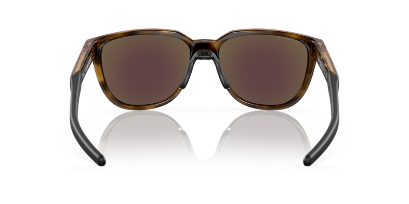 925004 - Brown Tortoise