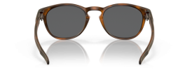 926522 - Matte Brown Tortoise