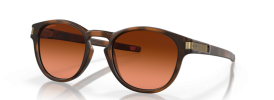 926560 - Matte Brown Tortoise