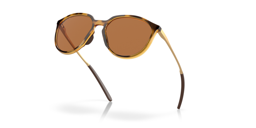 928803 - Polished Brown Tortoise