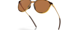 928803 - Polished Brown Tortoise