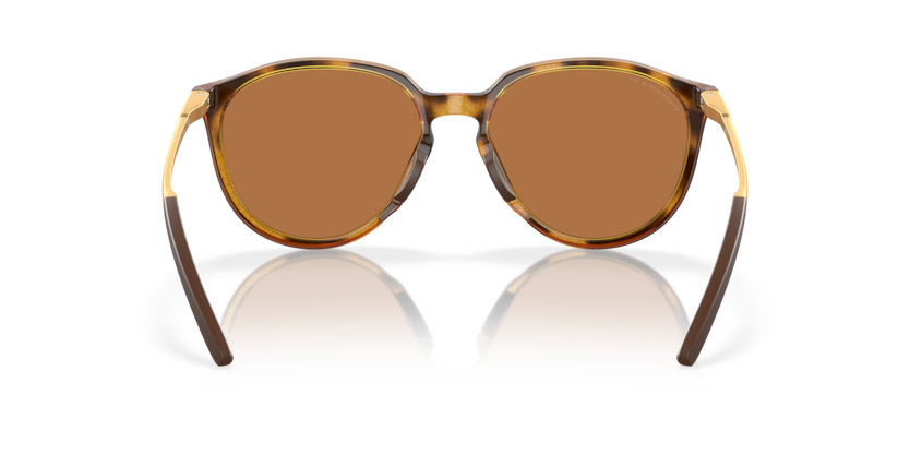 928803 - Polished Brown Tortoise