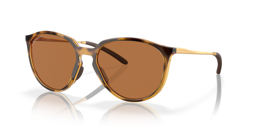 928803 - Polished Brown Tortoise