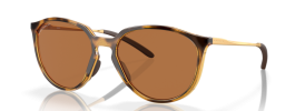 928803 - Polished Brown Tortoise