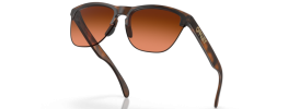 937450 - Matte Brown Tortoise