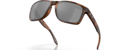 941702 - Matte Brown Tortoise