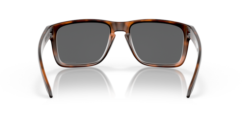 941702 - Matte Brown Tortoise