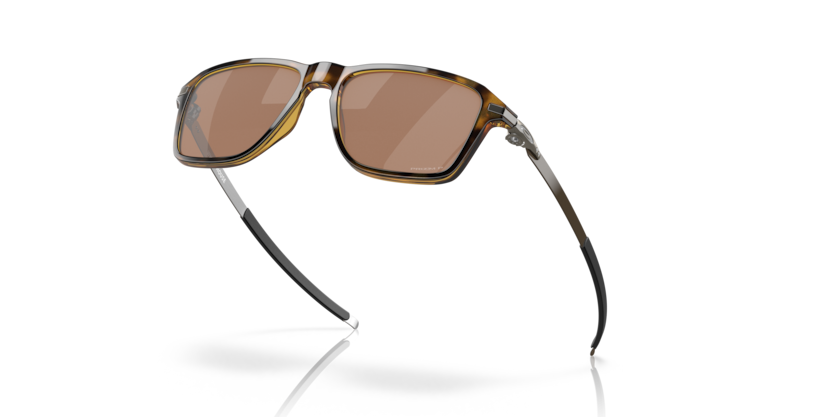 946904 - Polished Brown Tortoise