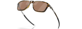 946904 - Polished Brown Tortoise