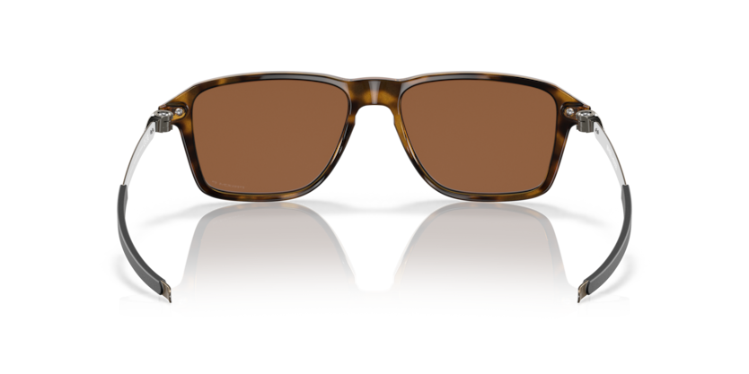 946904 - Polished Brown Tortoise