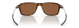 946904 - Polished Brown Tortoise