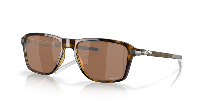 946904 - Polished Brown Tortoise