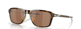 946904 - Polished Brown Tortoise