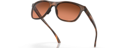 947303 - Matte Brown Tortoise