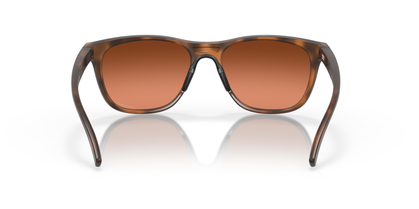 947303 - Matte Brown Tortoise