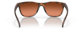 947303 - Matte Brown Tortoise