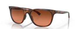 947303 - Matte Brown Tortoise