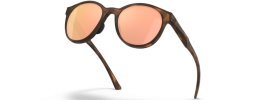 947401 - Matte Brown Tortoise