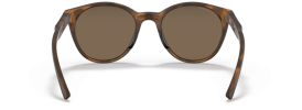 947401 - Matte Brown Tortoise