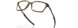 805403 - Satin Brown Tortoise