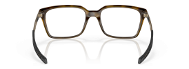 805403 - Satin Brown Tortoise