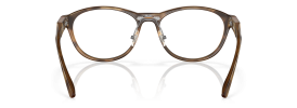 805702 - Satin Brown Tortoise