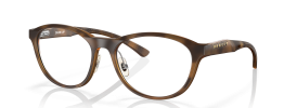 805702 - Satin Brown Tortoise