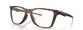 805802 - Satin Brown Tortoise